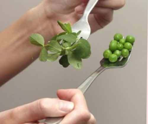 Những vụ ly hôn vì trăm ngàn lý do ngớ ngẩn 